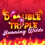 Double Triple Burning Wilds screenshot