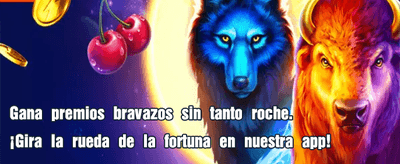 Tu suerte comienza aquí hoy